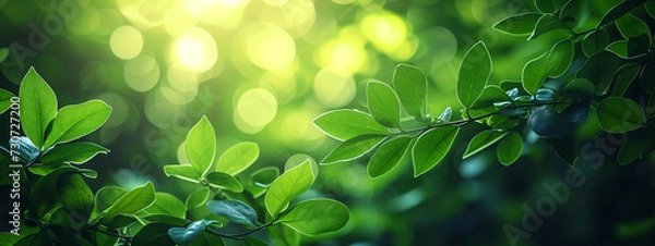 Obraz Green leaves in lush green colors background. Concept of ecology and healthy environment.