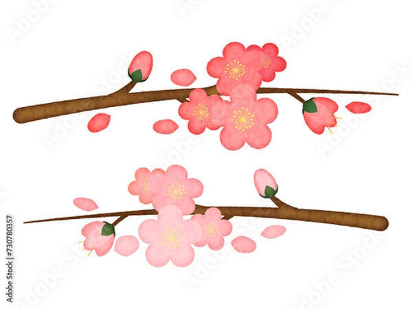 Fototapeta ピンク色の桃の花の水彩画風