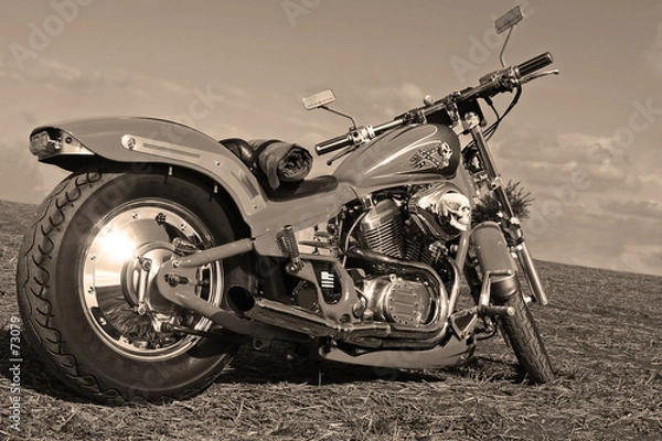 Obraz softail
