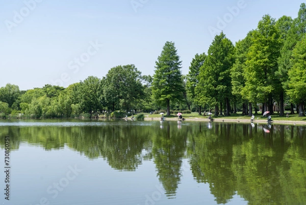 Obraz のどかな池のほとり