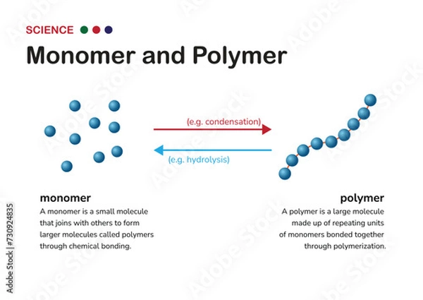 Fototapeta Understanding Chemistry: From Monomer to Polymer. Monomers, the building blocks of polymers, join together through chemical bonds to create larger and more complex molecules known as polymers