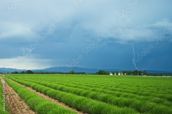 Obraz Thunderstorm around Valensole, in the South of France