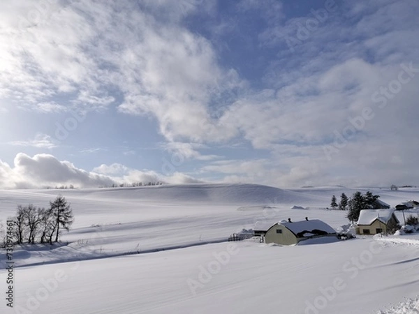 Fototapeta 美瑛の丘