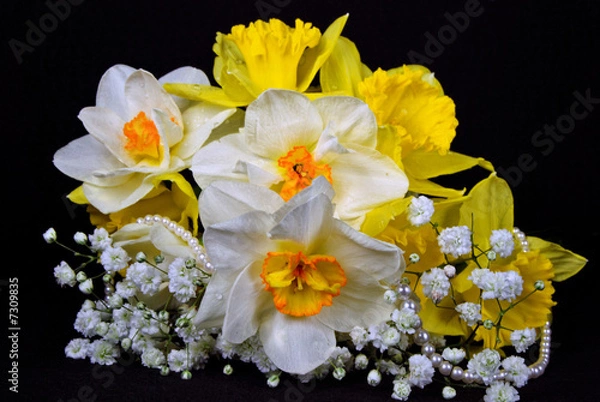 Fototapeta Spring Bouquet