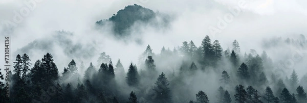Fototapeta Misty mountain forest, with trees partially obscured by low-hanging clouds.