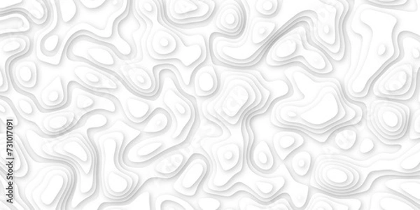 Fototapeta 3d render, abstract white paper background. Paper cut vector art background banner texture. multi layer cutout geometric pattern on vector, Abstract soft white background with waves.