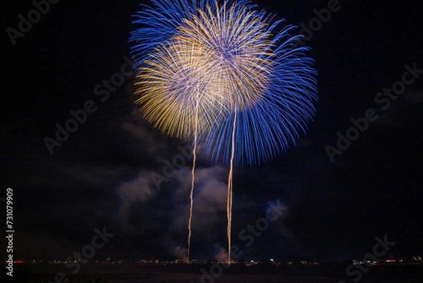 Fototapeta 長岡の有名花火