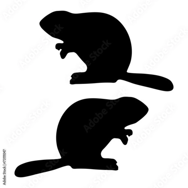 Obraz beaver silhouette