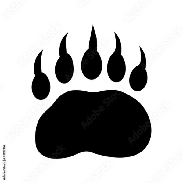 Obraz bear paw