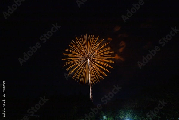 Fototapeta 日本花火