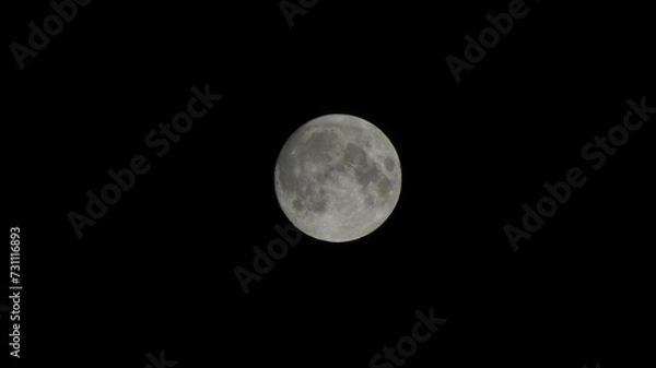 Obraz moon in the night