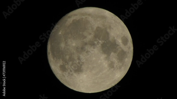 Obraz moon in the night