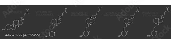 Fototapeta Vitamin D molecular skeletal chemical formula.