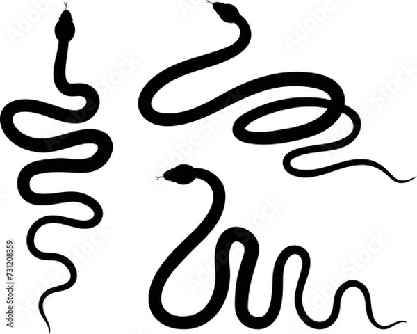 Fototapeta A set of three options for snake silhouettes. Vector tattoo design.