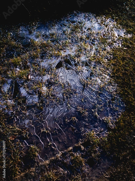 Fototapeta OLYMPUS DIGITAL CAMERA