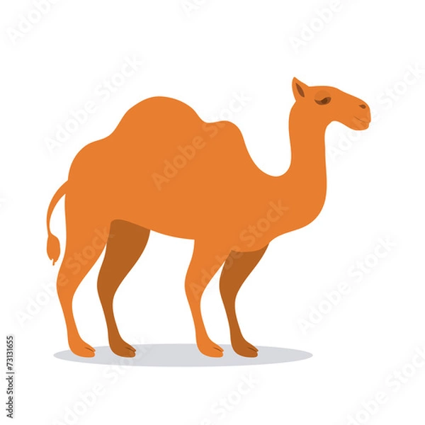 Fototapeta Animal design