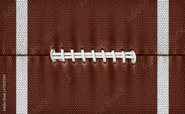 Obraz Football Texture