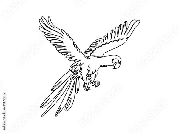 Fototapeta Bird Line Art Drawing