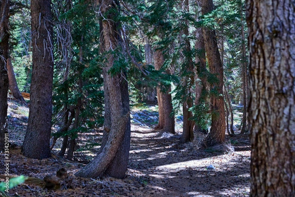 Obraz Lake Luise, Yosemite