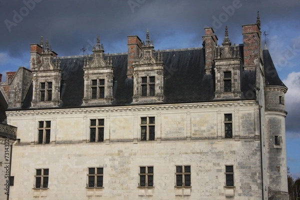 Fototapeta Château d'Amboise