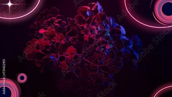 Fototapeta a 3d and asthetic abstract background