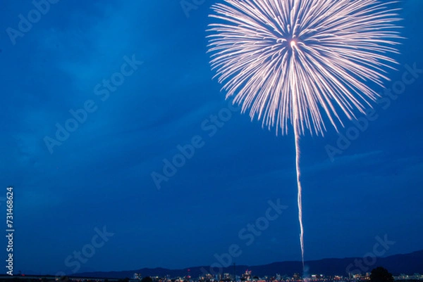 Fototapeta 長岡の花火