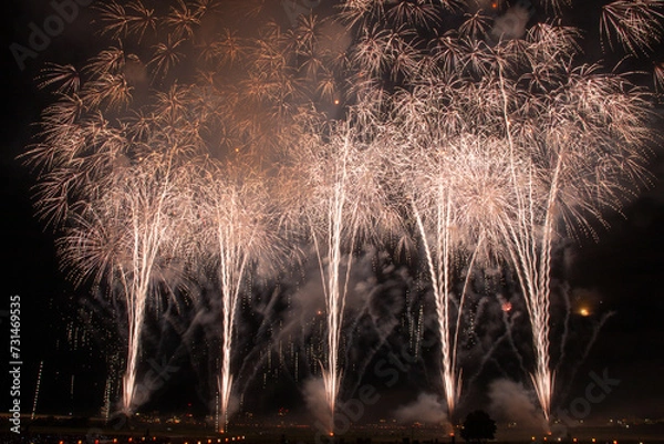 Obraz 長岡大花火大会