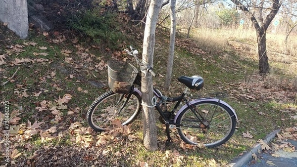 Fototapeta bicycle in the park