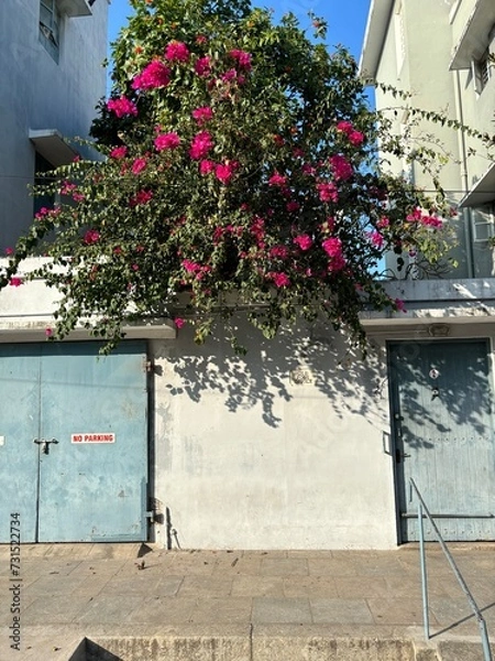 Obraz old house with flowers