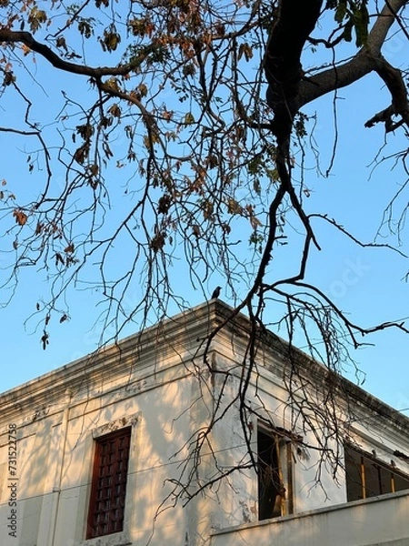 Obraz Abstract building 