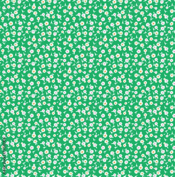 Obraz seamless daisy pattern green white 