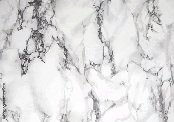 Obraz Marble texture, vector.