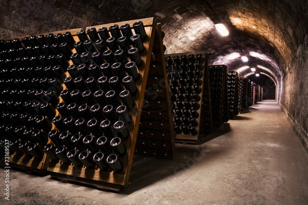 Fototapeta beverage storage cellar