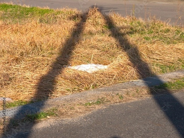 Obraz 冬の日差しが差し込む道