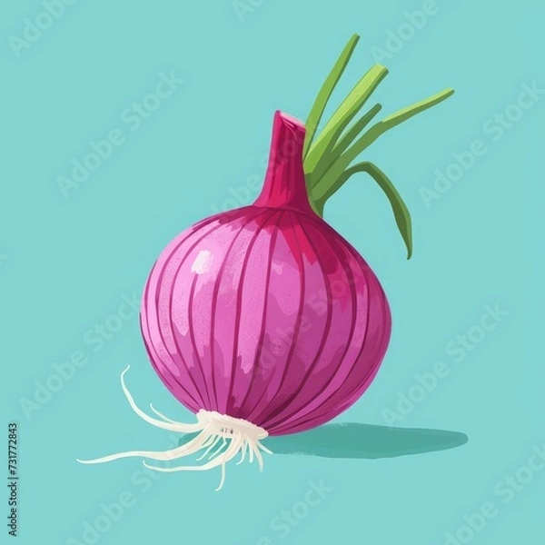 Obraz onion illustration.