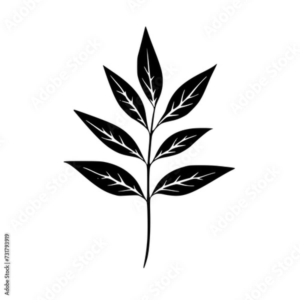Fototapeta Silhouette rose, rose vector, flower svg, vector flower, herb, branch, line art, outline, eps, png, svg, flower, floral, vector, nature, leaf, rose, illustration, plant, design, vintage, pattern, flow