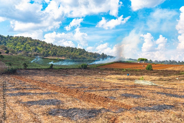 Fototapeta Slash-and-burn agriculture in the Chiang Mai province in northern Thailand. In the vernacular it is the burning season, an unhealthy air pollution until end of March