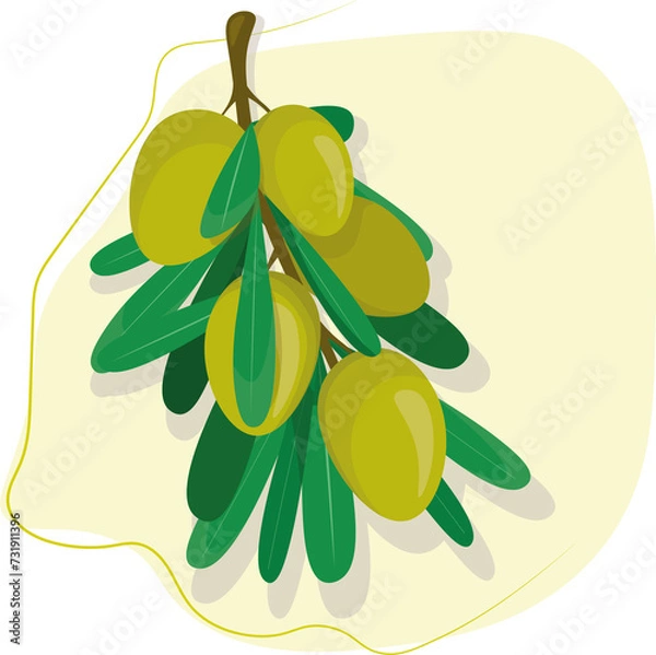 Fototapeta green olives on a branch with leaves