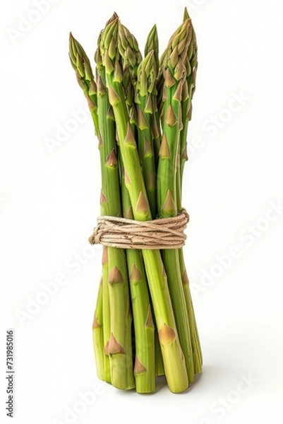 Obraz Asparagus bound together by a band on white background