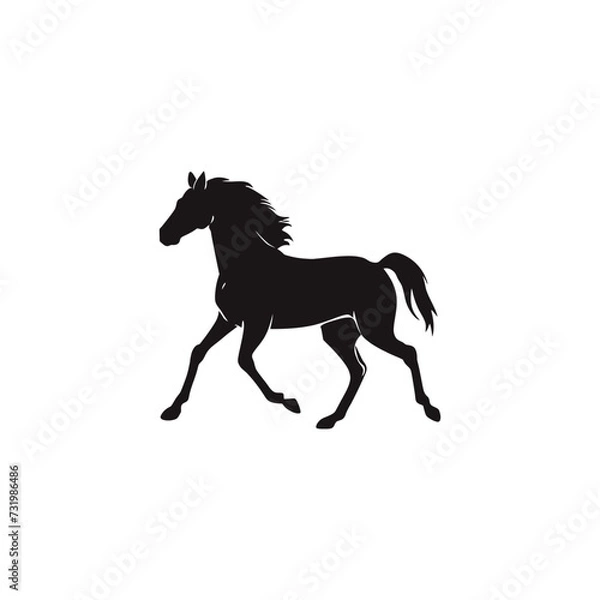 Obraz horse vector silhouette