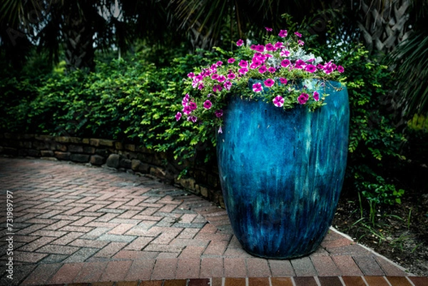 Obraz flowers in a garden