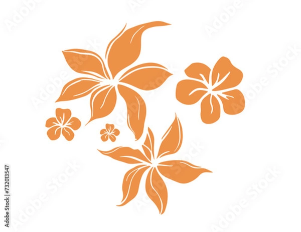 Obraz hawaian, hibiscus, 