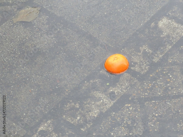 Fototapeta orange tangerine laying in a pool of water on the road