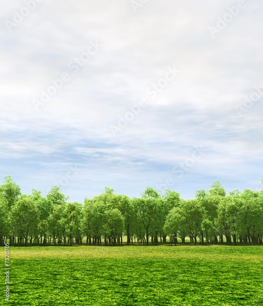 Fototapeta Spring scenery