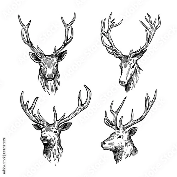 Obraz deer head silhouette