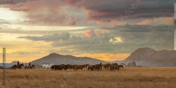 Obraz Mares and Foals golden hour wyoming sunset sunrise sky wranglers rancher