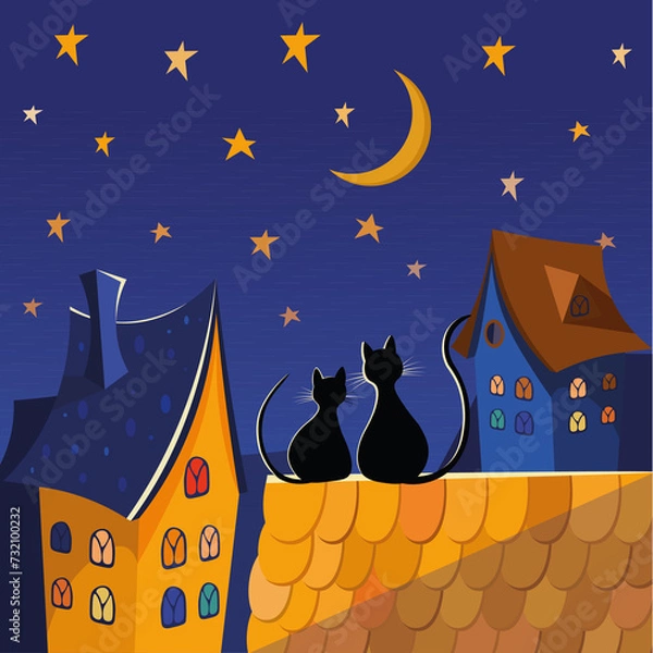 Fototapeta Two black cats on a roof are looking on stars and the moons at night.
