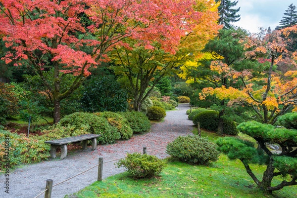 Fototapeta Autumn Colors Park Bench Walking Path Garden Arboretum