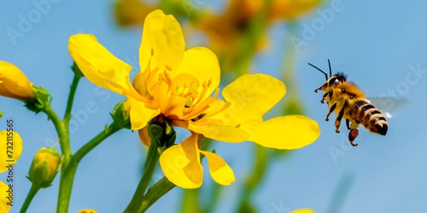Obraz bee on yellow flower