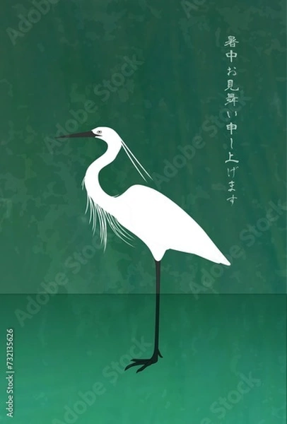 Fototapeta 暑中お見舞い　深い緑の中の涼しげな水辺に佇む白鷺